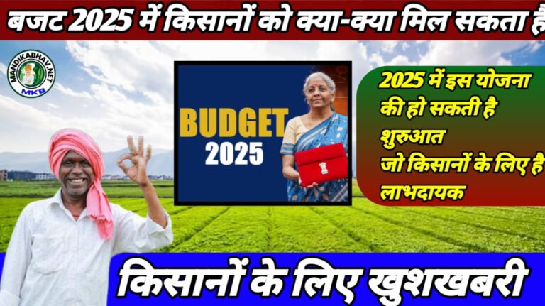 New budget 2025