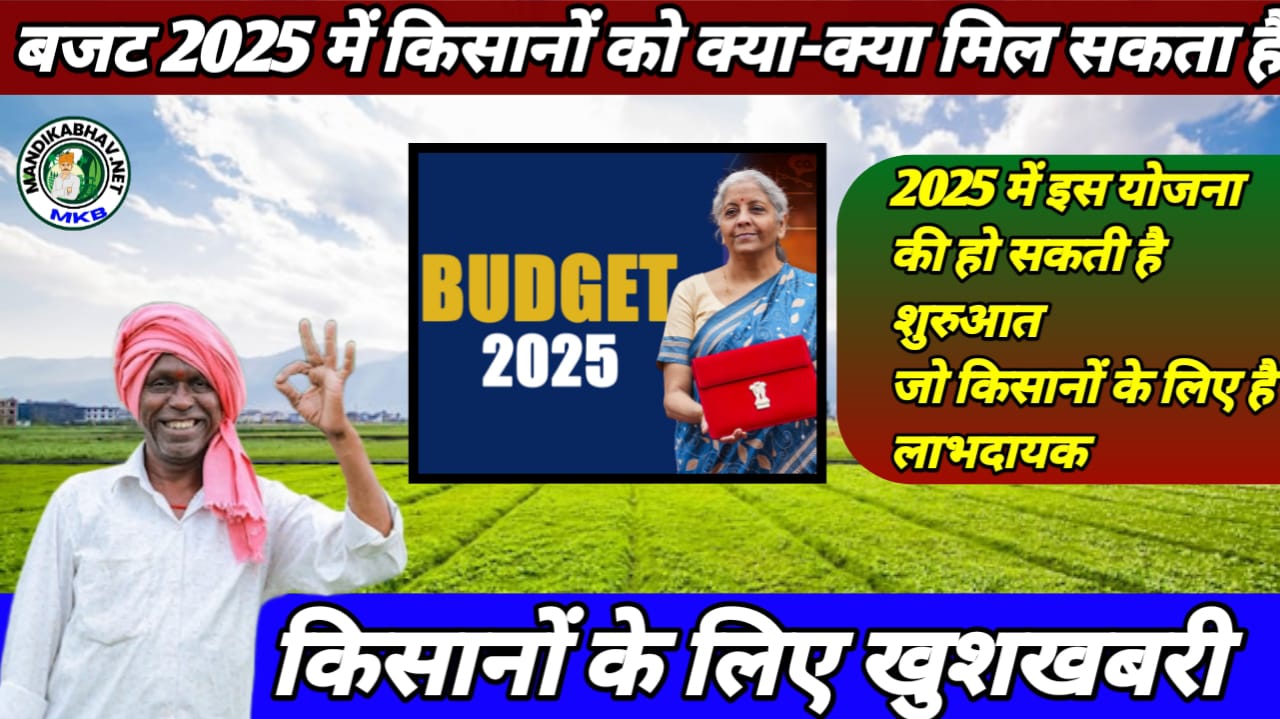 New budget 2025