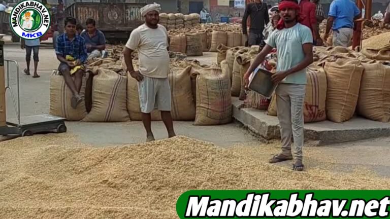 Commodities Mandi Price