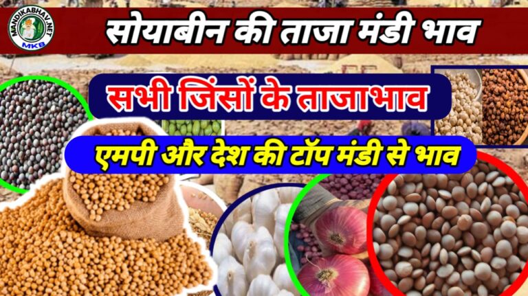 Commodities Mandi Price