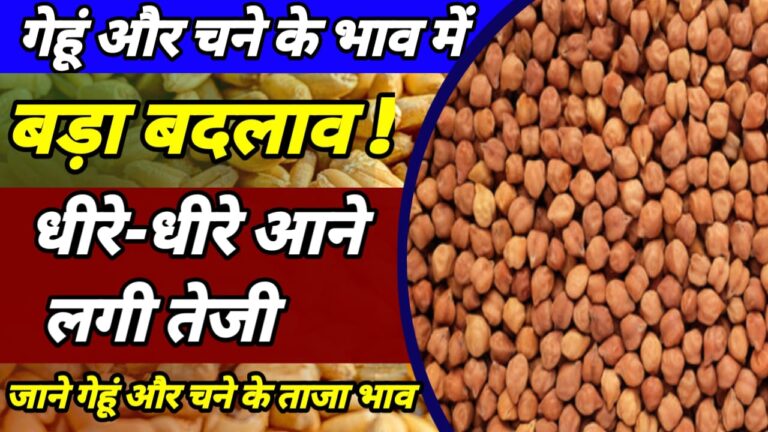 Commodities Mandi Prices