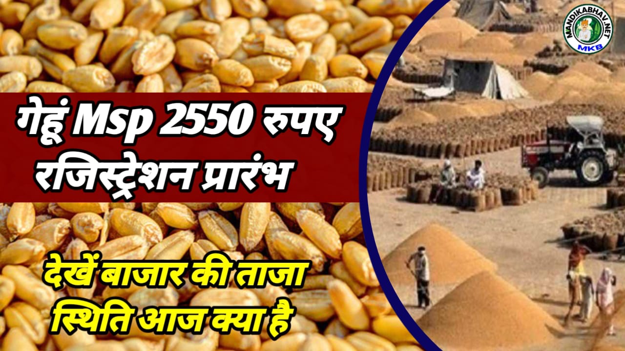Commodities Market Price