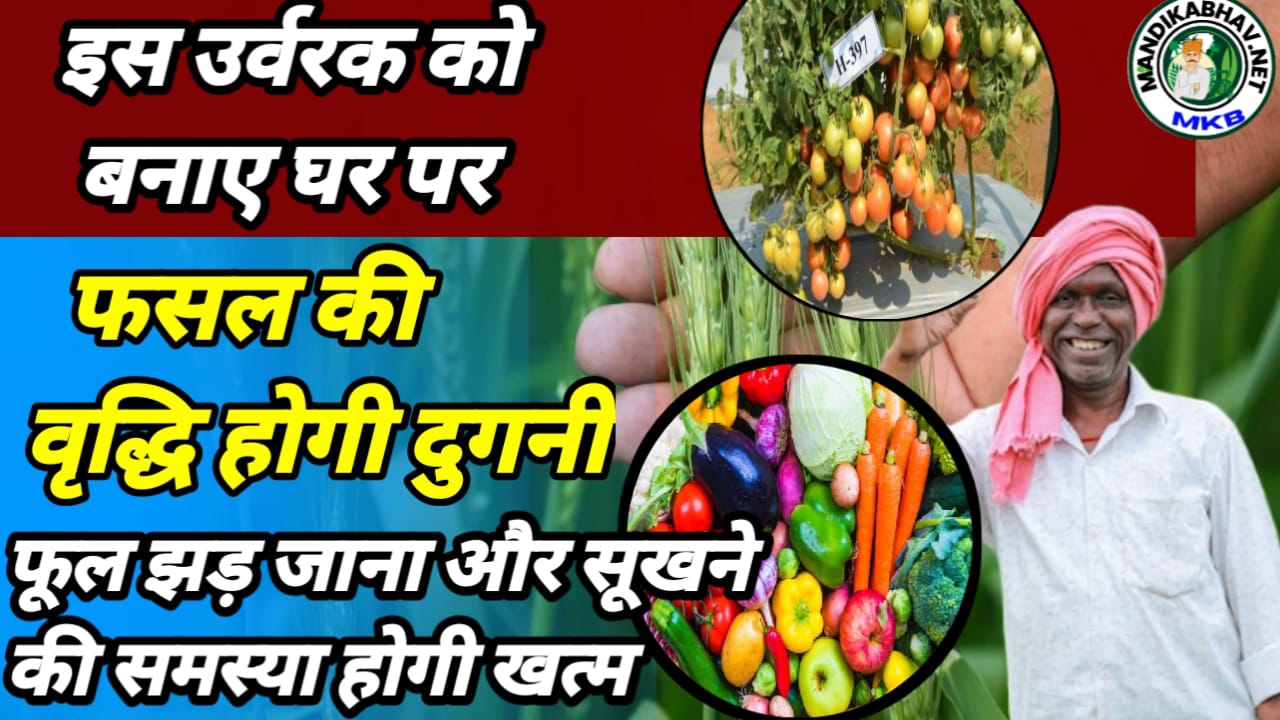 Crop advice 2025