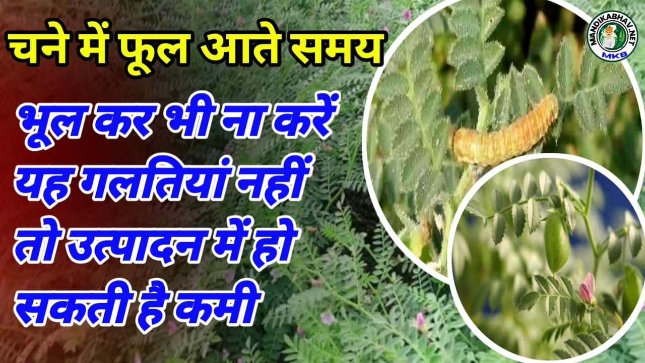 Farming advice