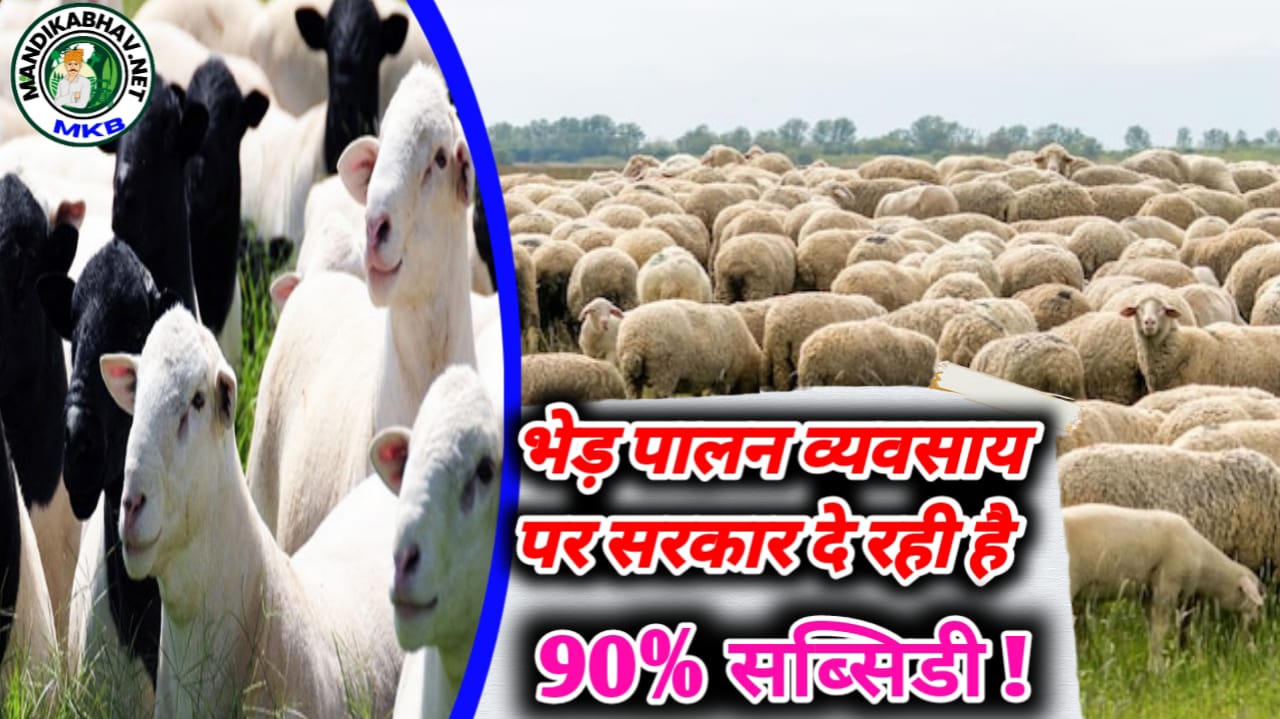 Farming business
