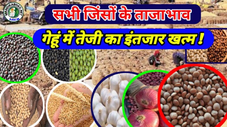 Mandi Commodities Price