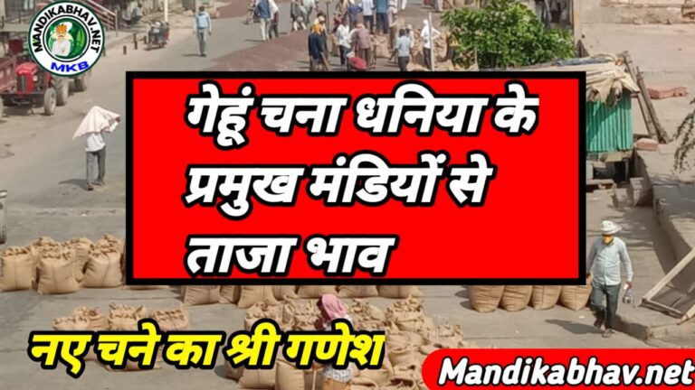 Mandi Commodities Price