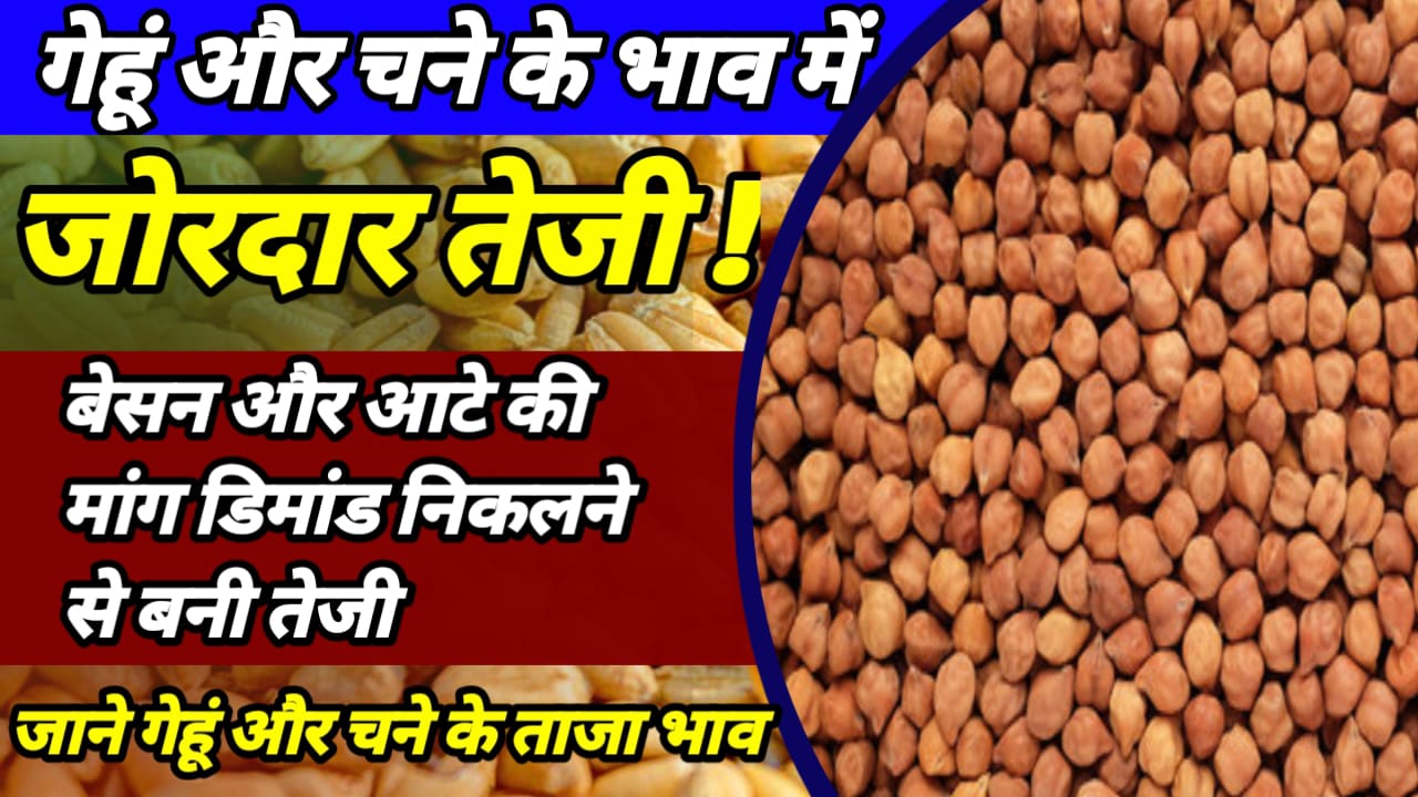 Market Commodities price