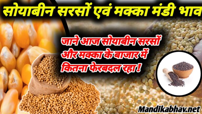 Mustard soyabean Commodities price