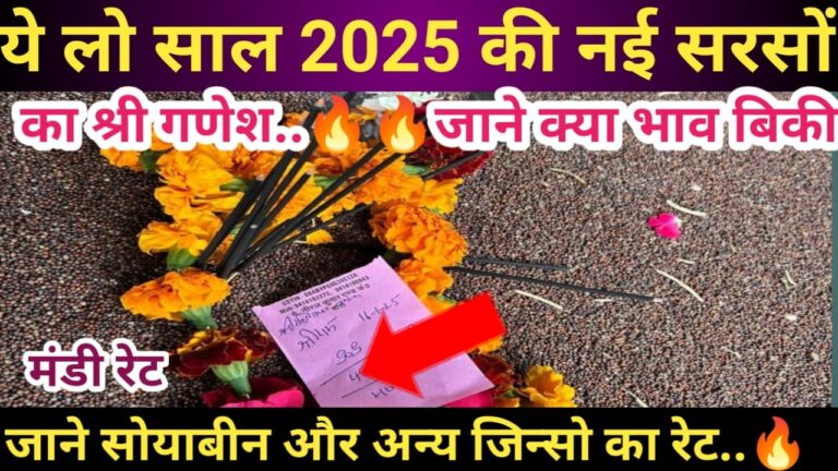 New Mustard Price 2025