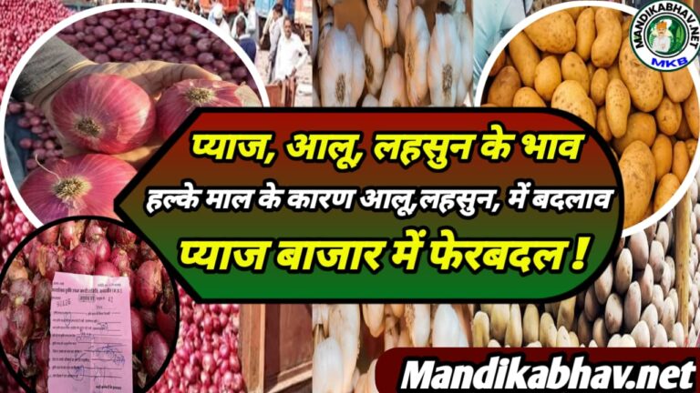 Onion Garlic Commodities Price