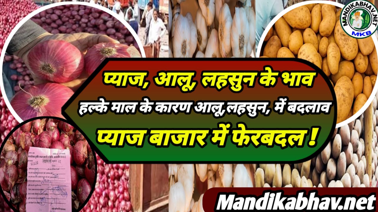 Onion Garlic Commodities Price