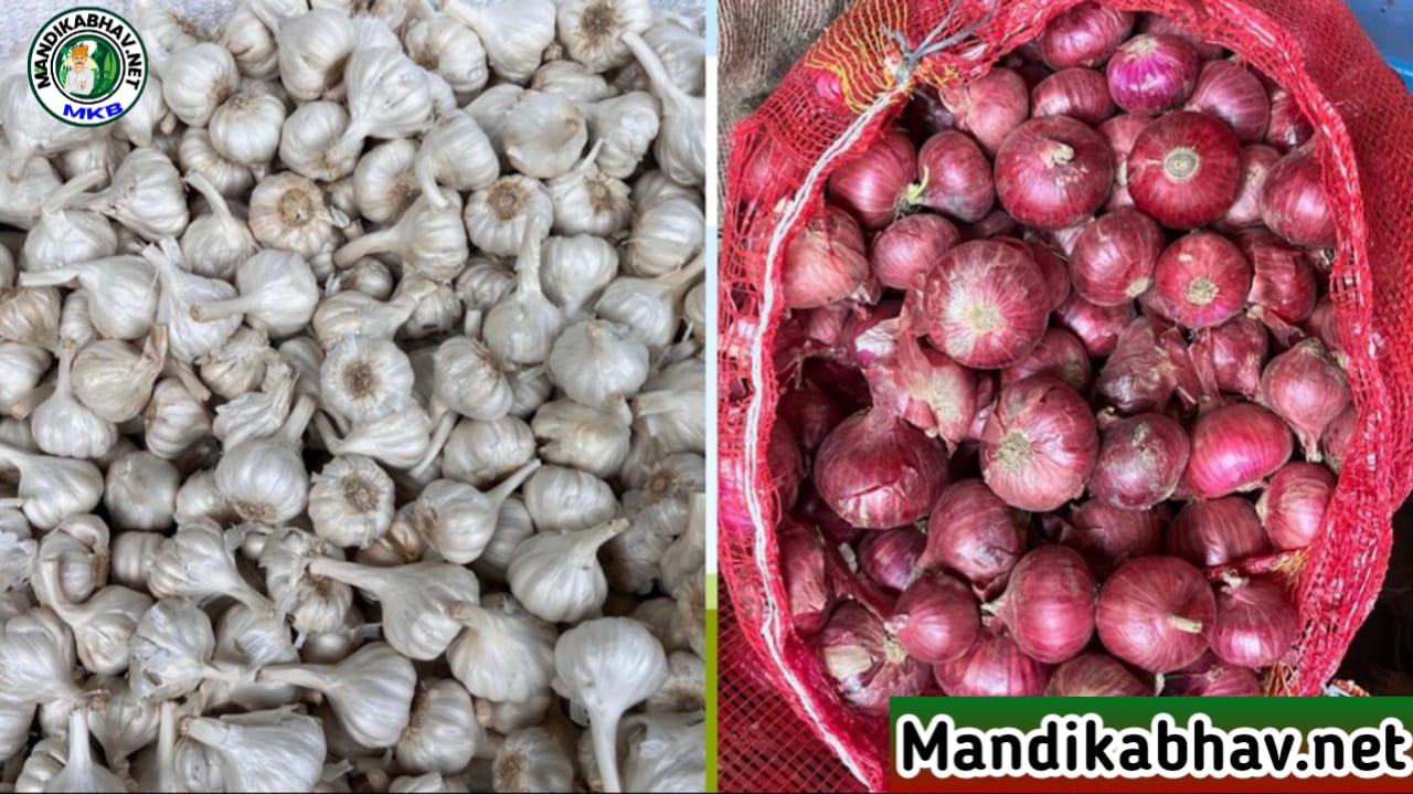 Onion Garlic Price