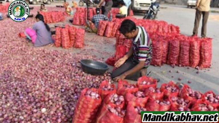 Onion Garlic Price  