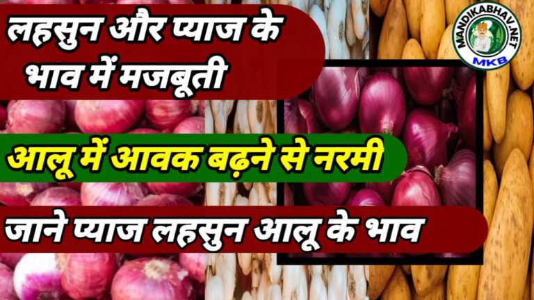 Onion Garlic Price