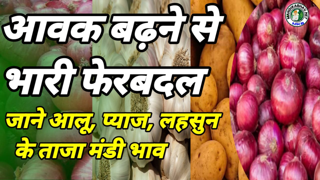 Onion Garlic Price