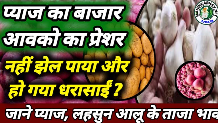 Onion Garlic mandi price