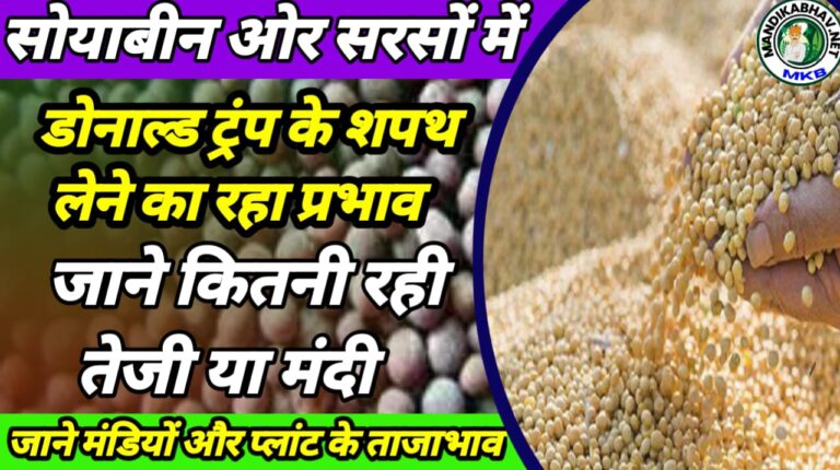 Soya Commodities priceSoya Commodities price