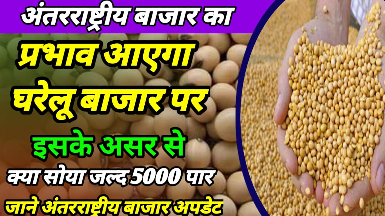Soyabean Commodities News