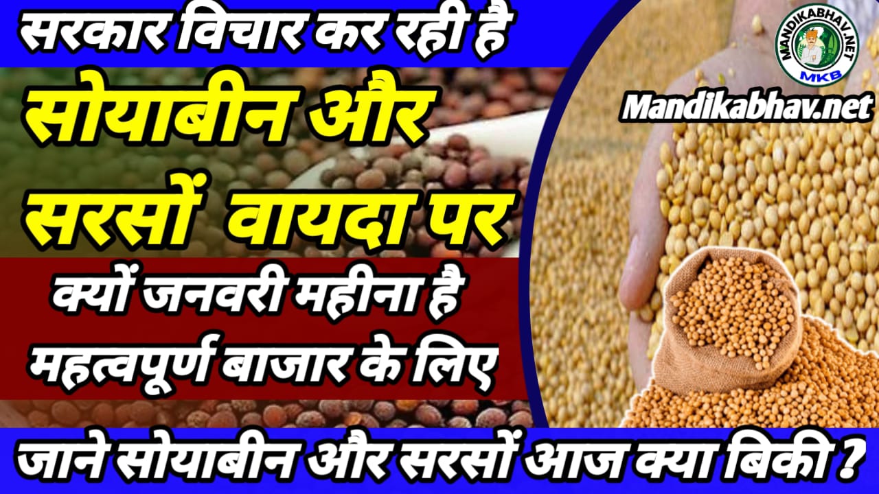 Soyabean Commodities News 2025