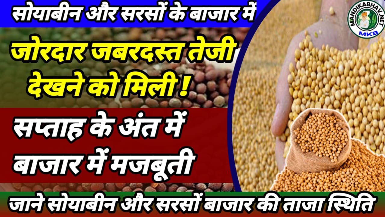 Soyabean Commodities News 2025