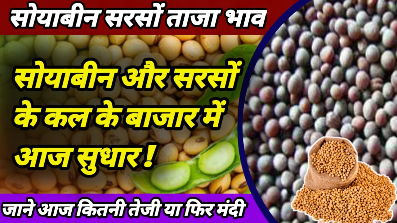 Soyabean Commodities Price