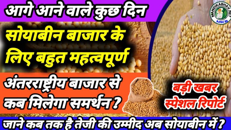 Soyabean Commodities Price
