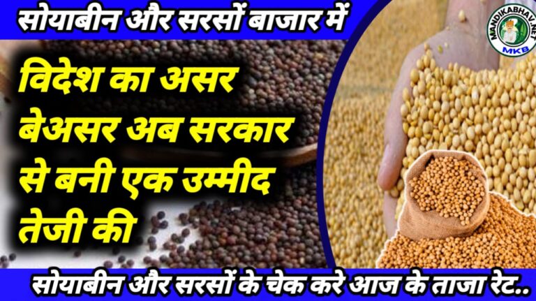 Soyabean Commodities Price