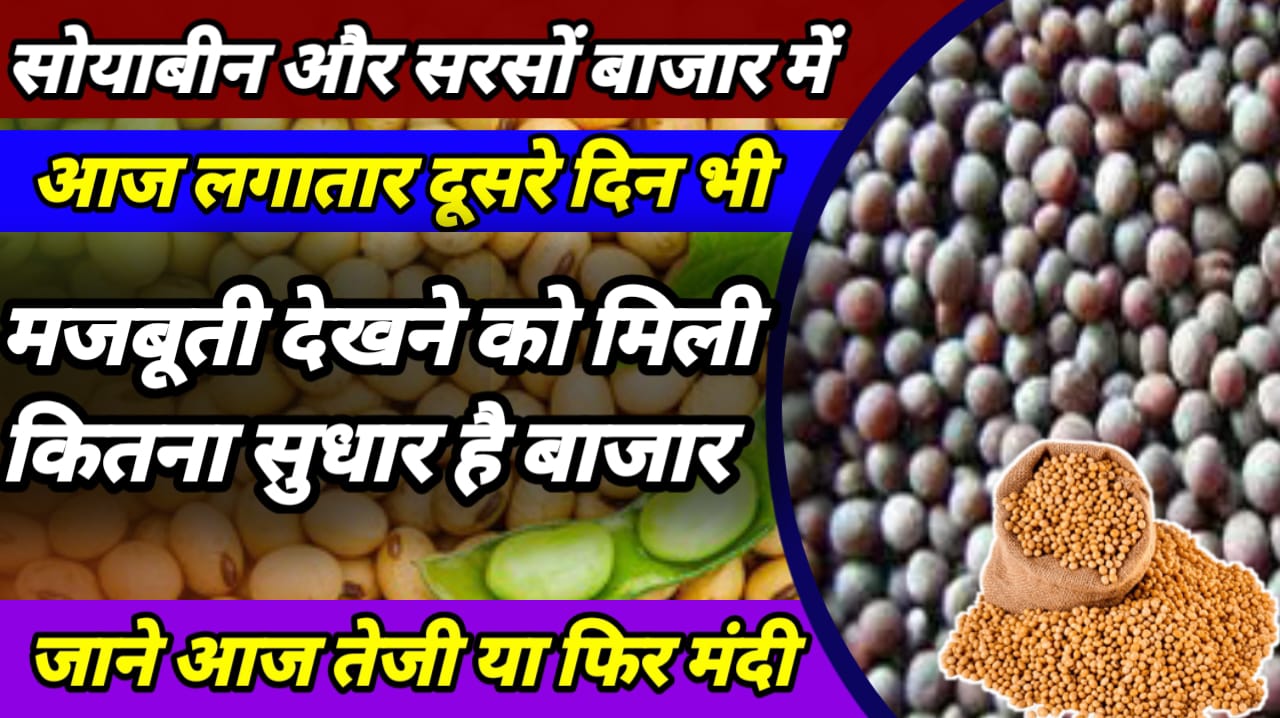 Soyabean Commodities Update