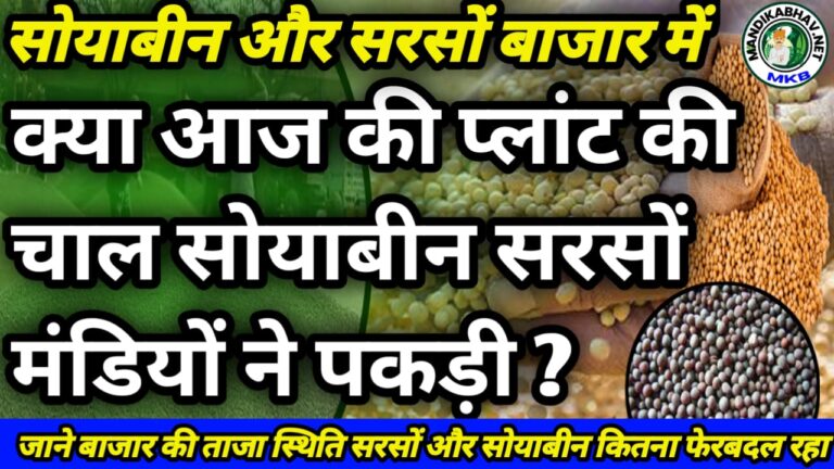 Soyabean Commodities price