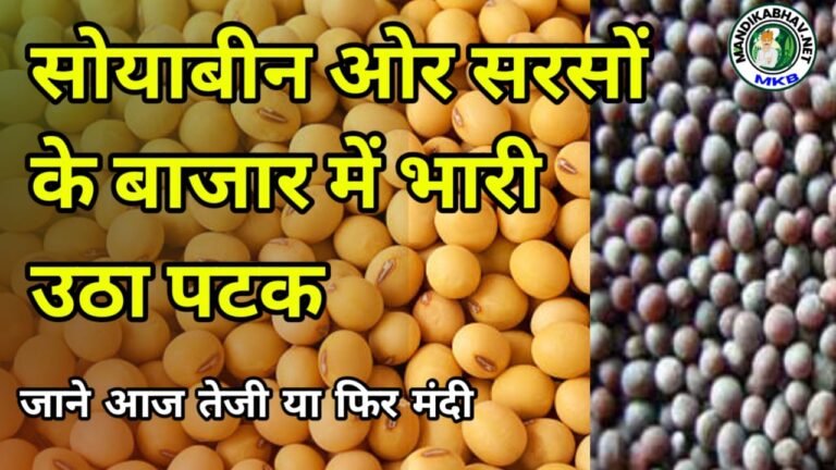 Soyabean Market Price
