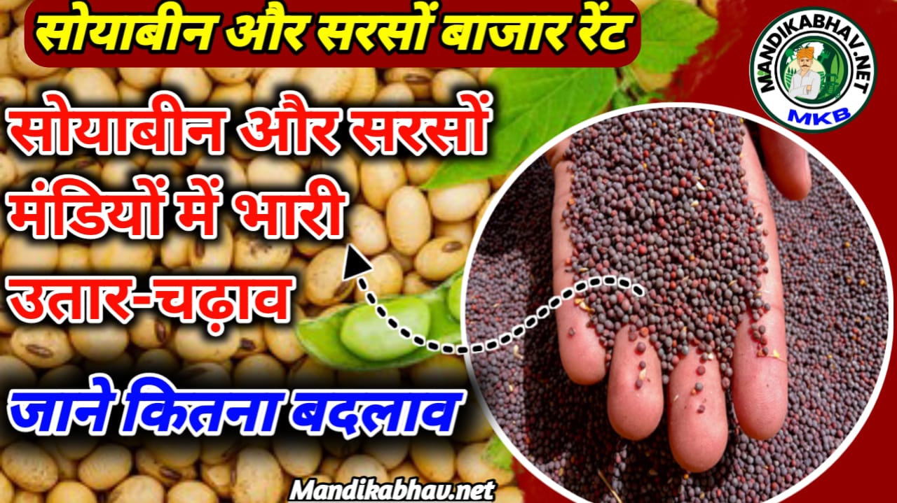 Soyabean Mustard Commodities Price