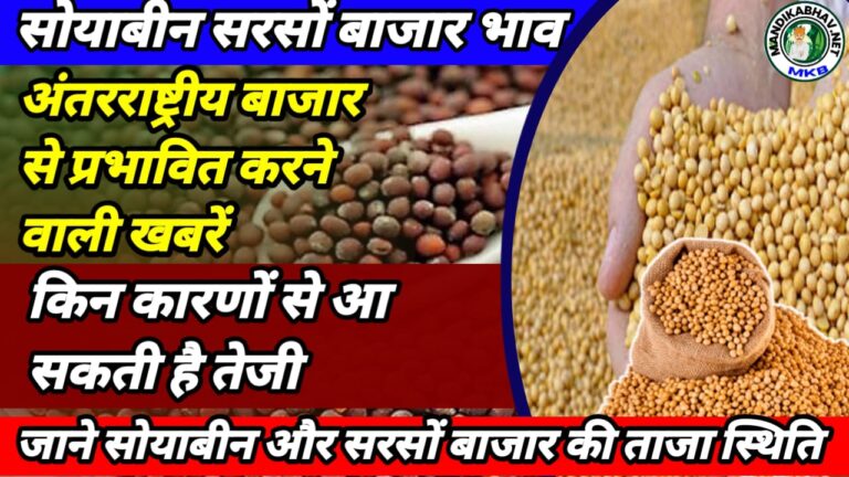 Soyabean Mustard Commodities Price