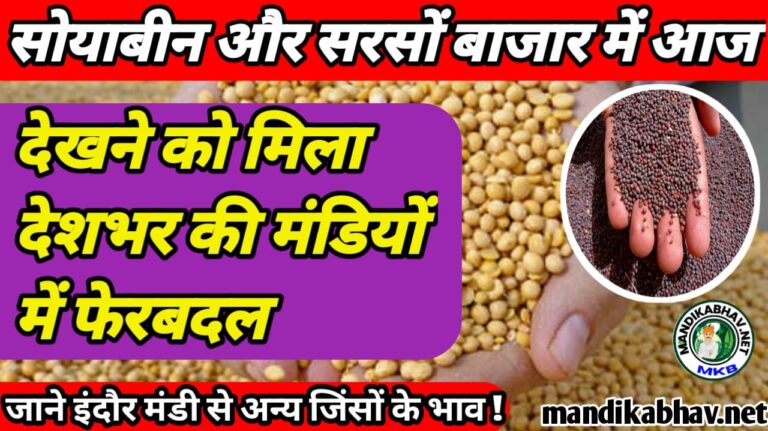 Soyabean Mustard price