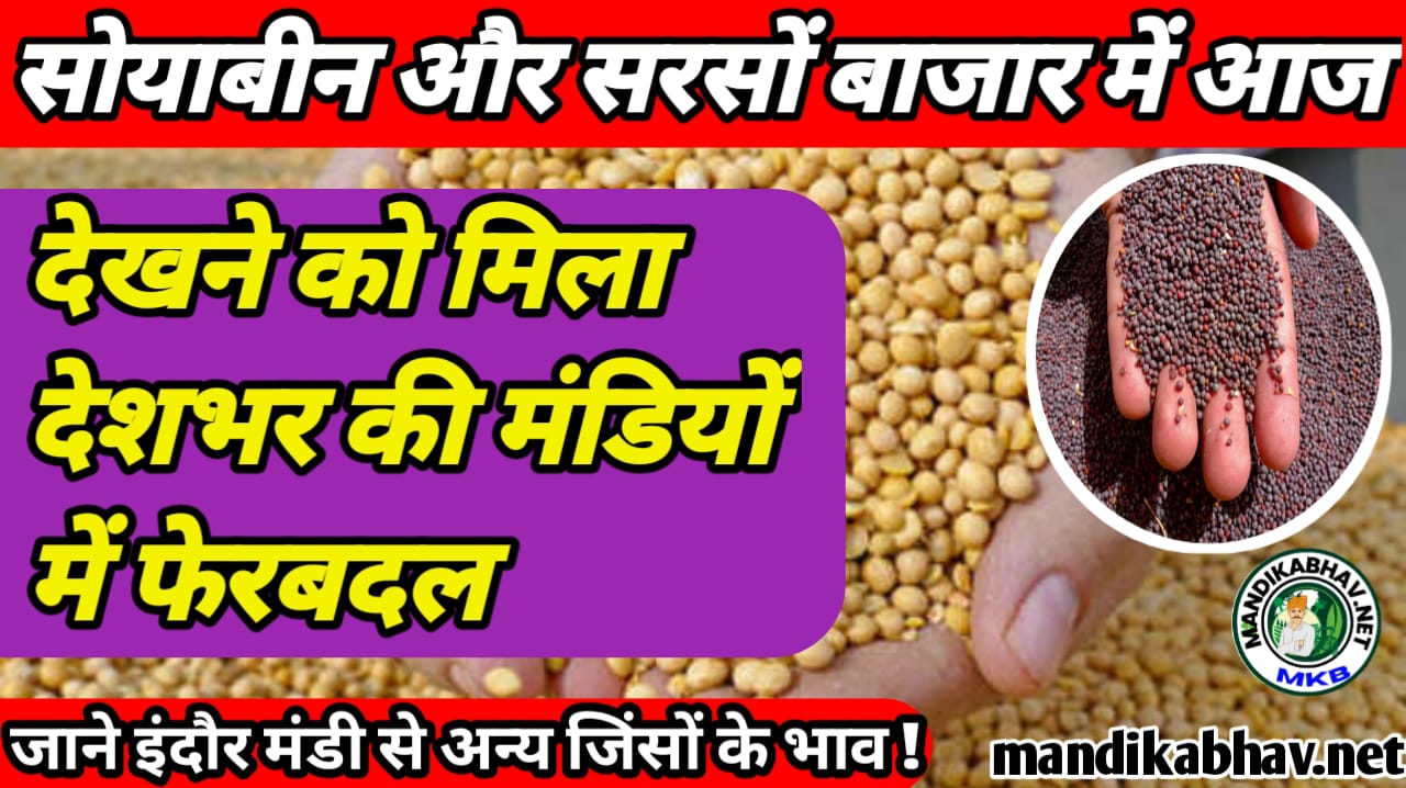 Soyabean Mustard price