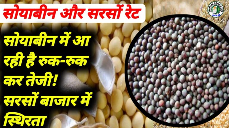 Soyabean Mustard price