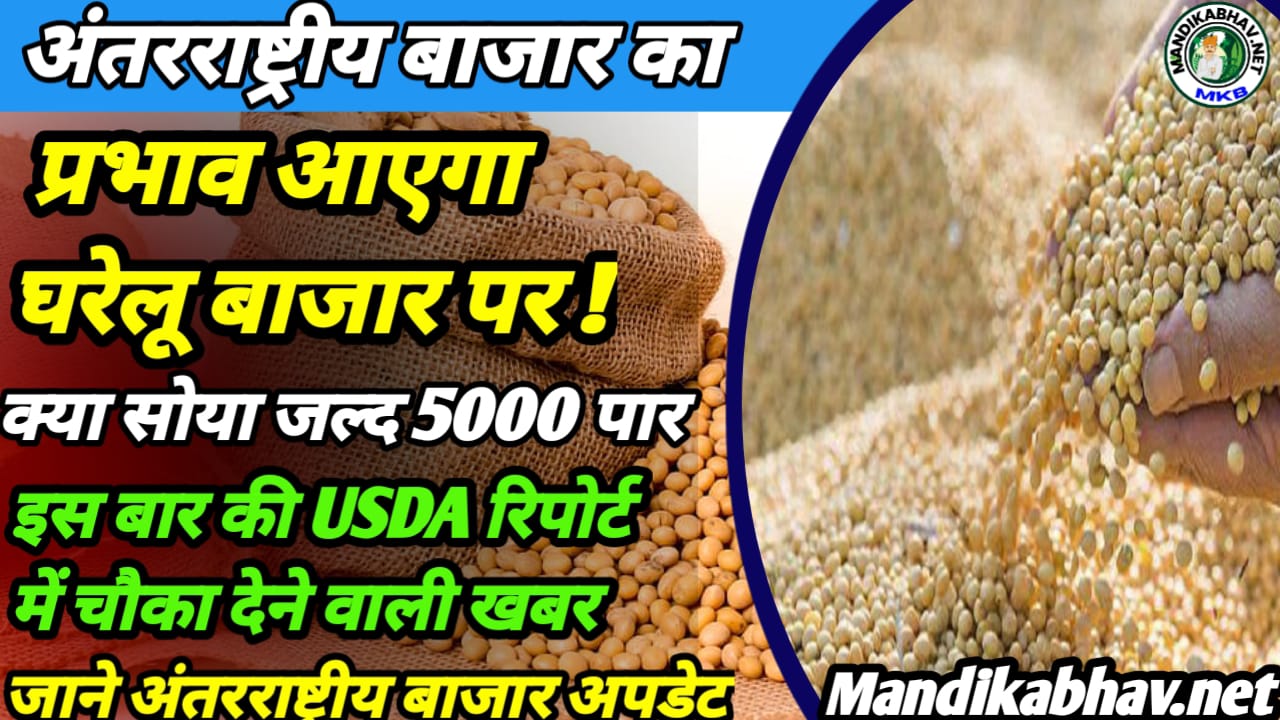 Soyabean USDA Report