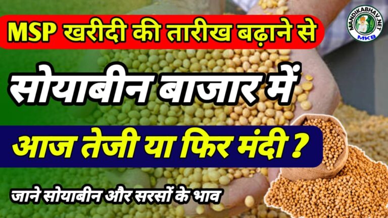 Soyabean commodities price