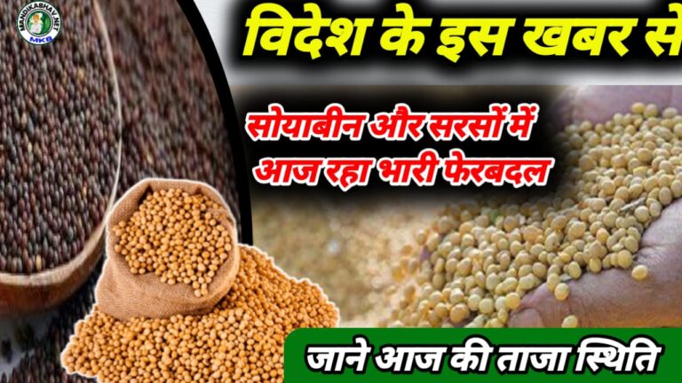 Soyabean commodities price