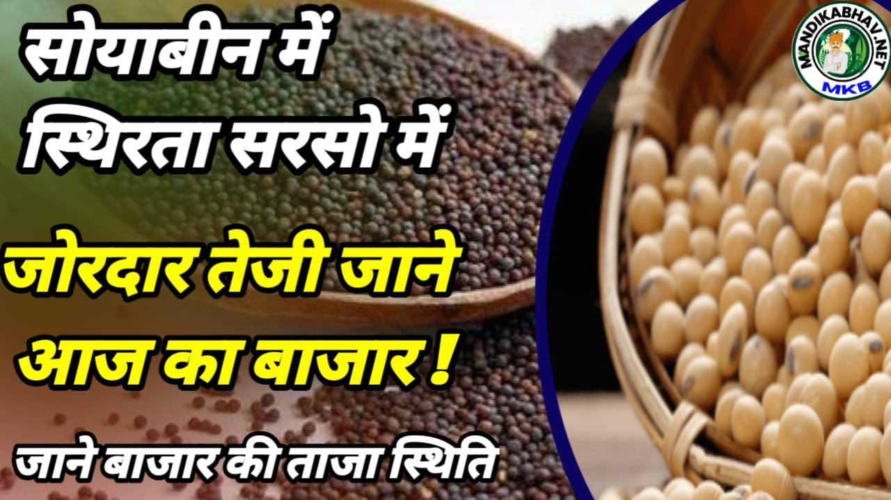 Soyabean market price