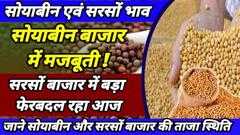 Soyabean mustard Commodities price