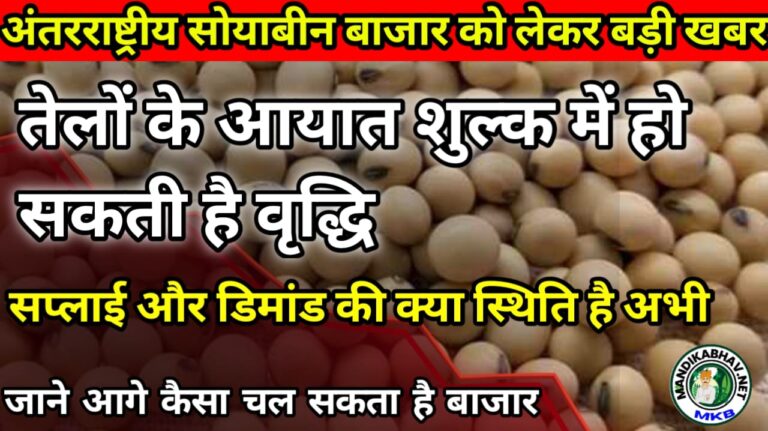 Soybean Commodities News