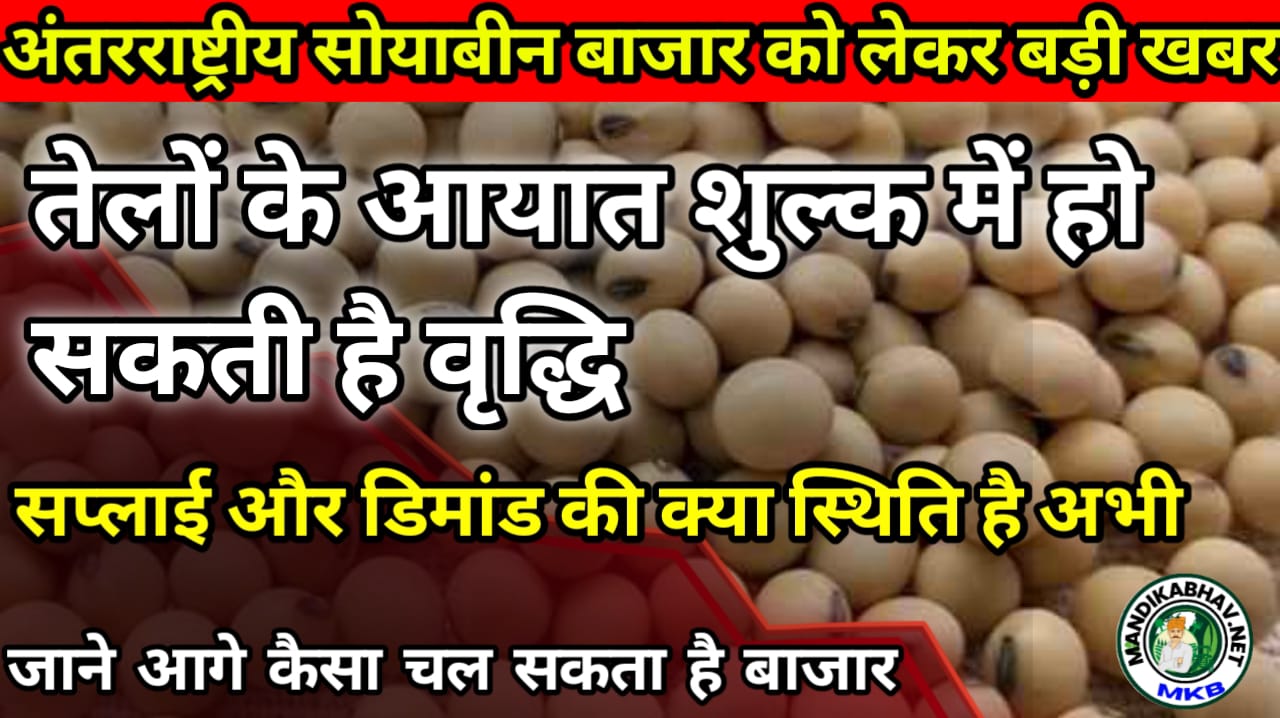 Soybean Commodities News