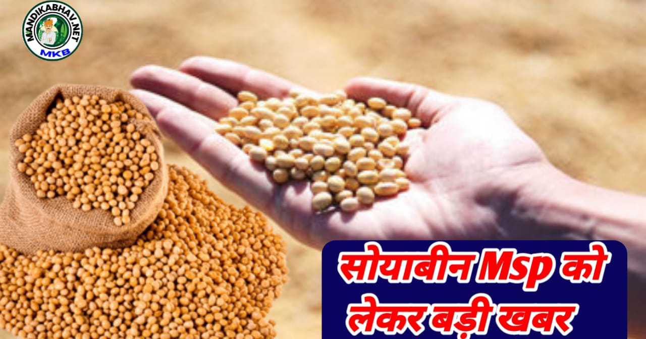 Soybean MSP final dete
