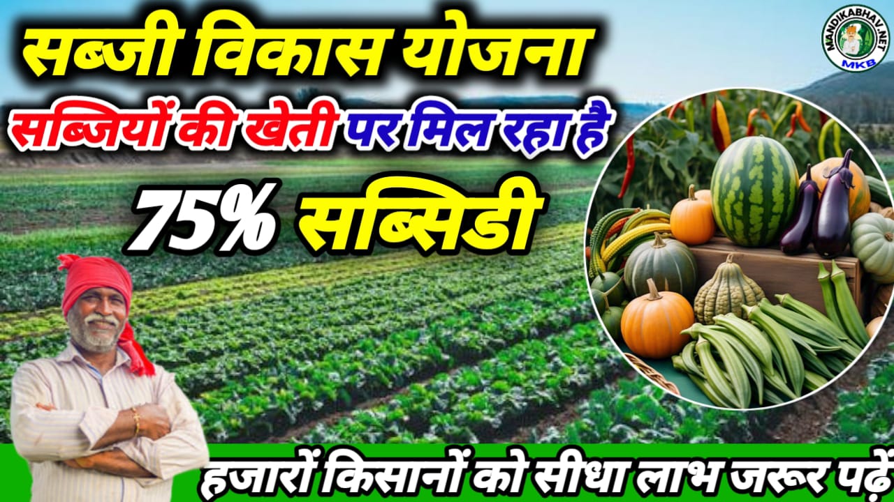 Vegetable Development Scheme