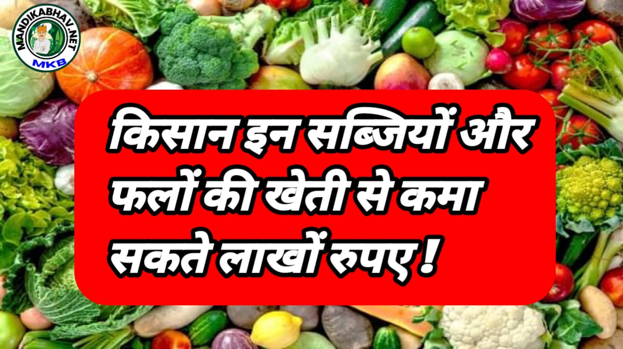 Vegetable Farming