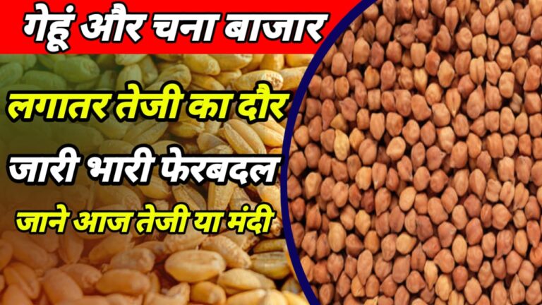 Wheat Gram Commodities Price