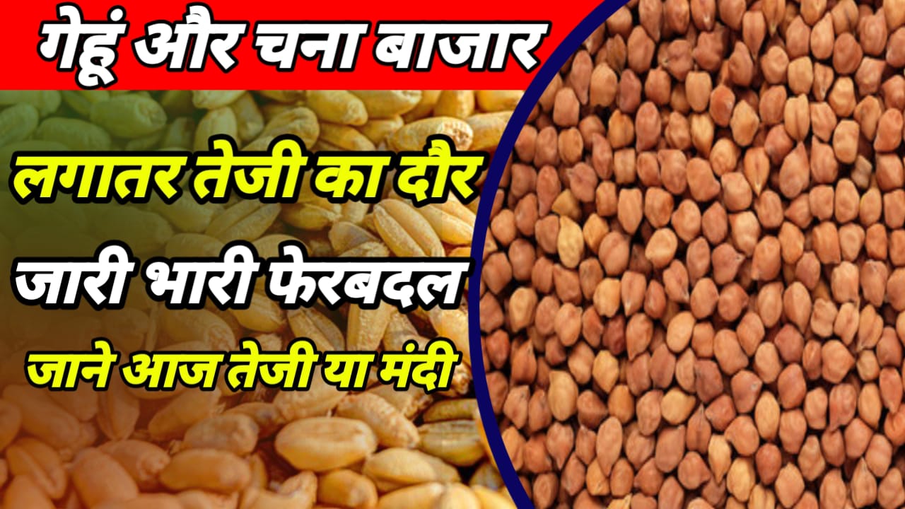 Wheat Gram Commodities Price
