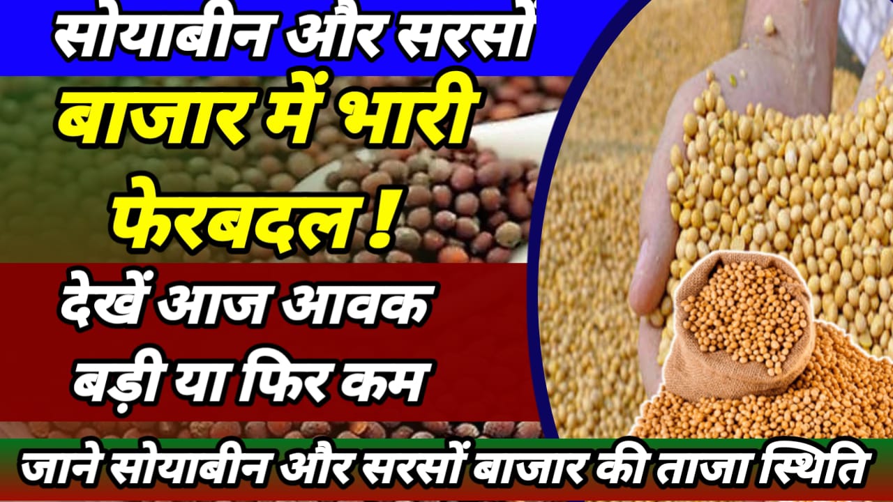 soyabean price