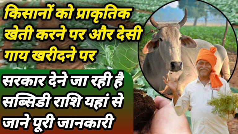 Agri Subsidy Scheme 2025